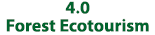 4 0 Forest Ecotourism